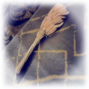 🆕 NIP Decorative Blush Colored Dried Pampas Grass Boho Vase Filler 🏺